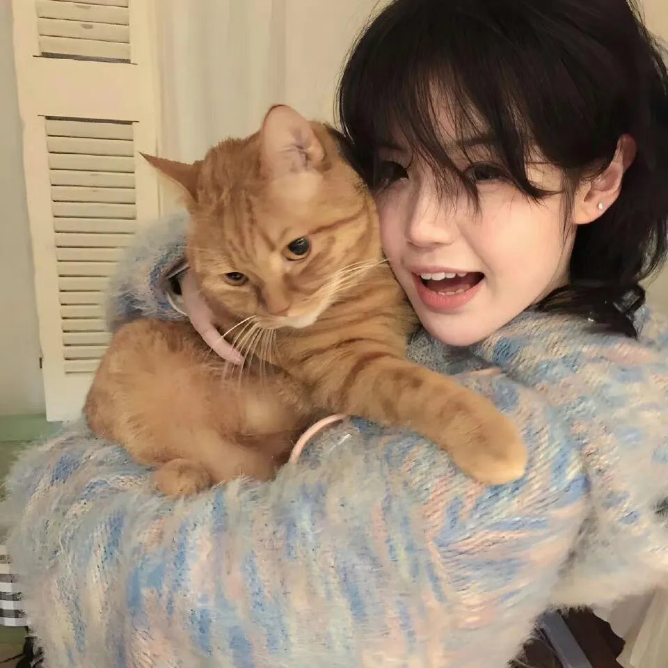 迪克·特平完全虚构的冒险