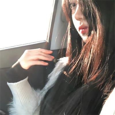 诚实房地产Minerva 特别篇